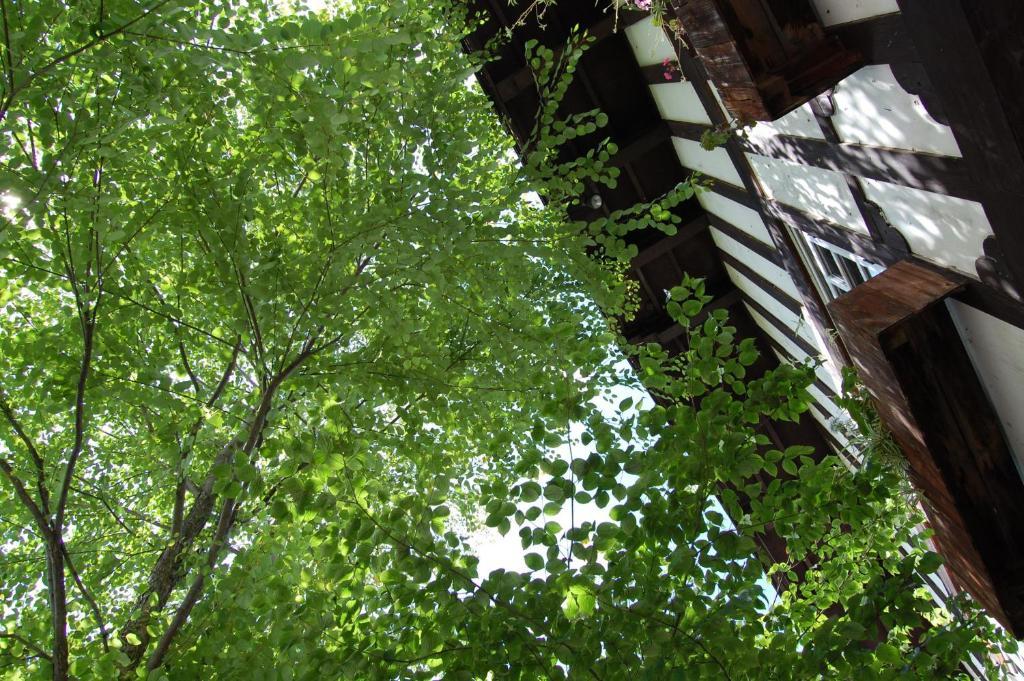Petit Hotel Alumu Macumoto Exteriér fotografie
